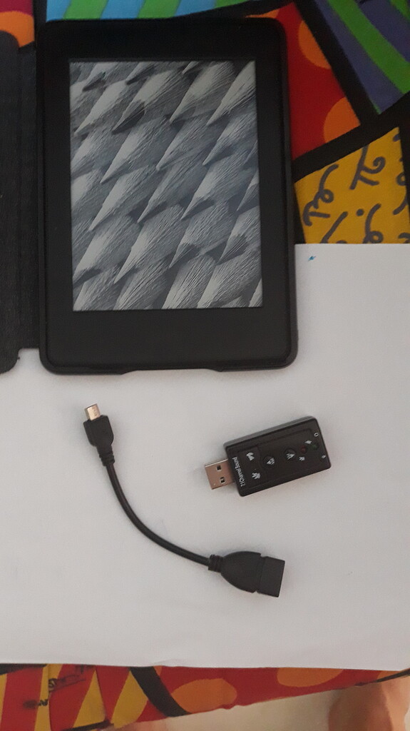 Dica. Kindle Paperwhite antigo com suporte a audio em ingles Hardware