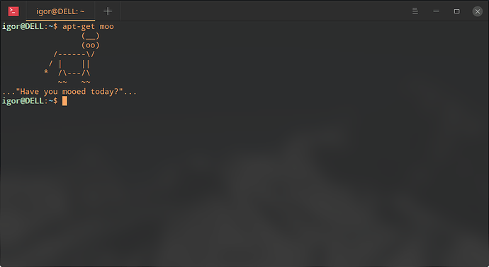 Captura%20de%20Tela_deepin-terminal_20190220095559