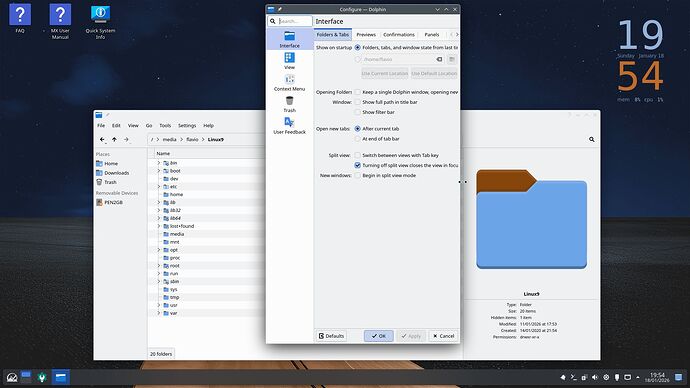2026-01-18_19-54-15_Mx-Dolphin-X11-KWin