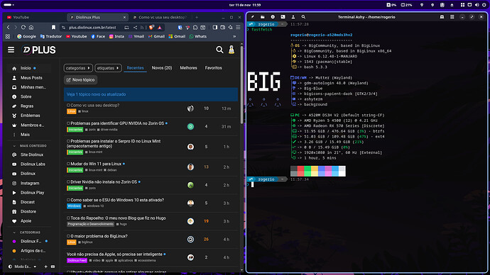 Captura de tela de 2025-11-11 11-59-39