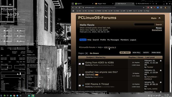 2025-02-23_11-39-31_Pc-PCLinuxOS-Forum-Plasma6