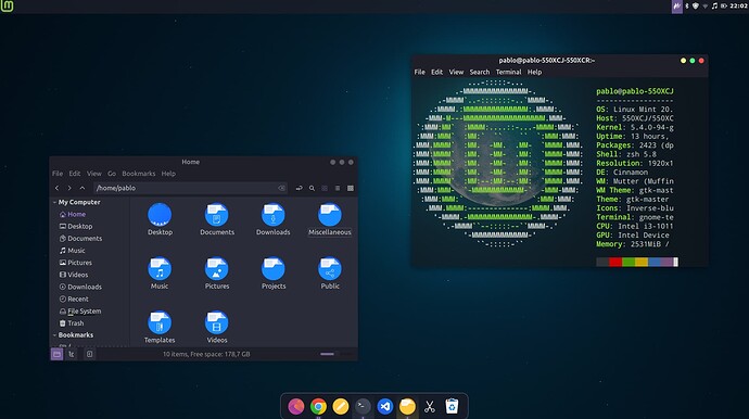 Linux Mint - Area de Trabalho e Terminal