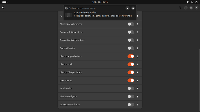 Captura de tela de 2024-08-12 09-45-12