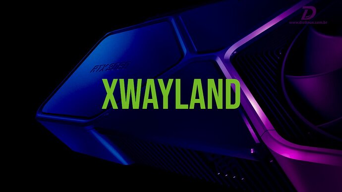 0073 - xwayland nvidia