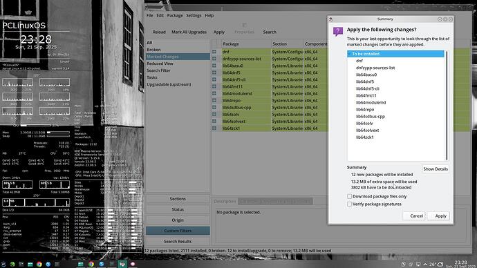 2025-09-21_23-28-15_Pc-dnf-DNF-Package-Manager