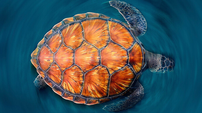 cropped-3840-2160-754984