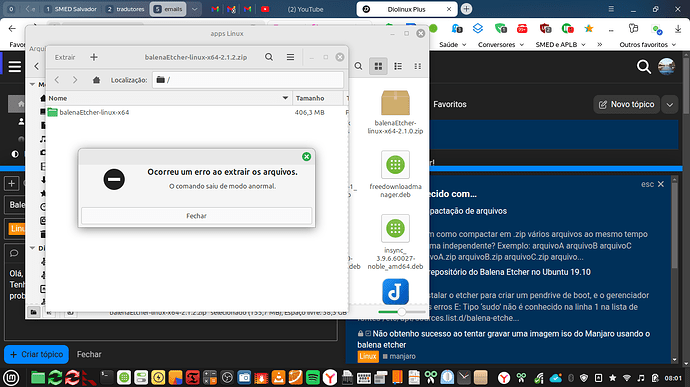 Captura de tela de 2025-06-15 08-01-02