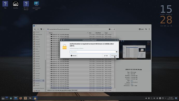 2026-01-18_15-28-31_Mx-Dolphin-Mount-Passwd