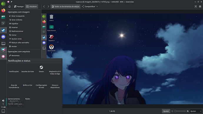 Captura de imagem_20240619_114819