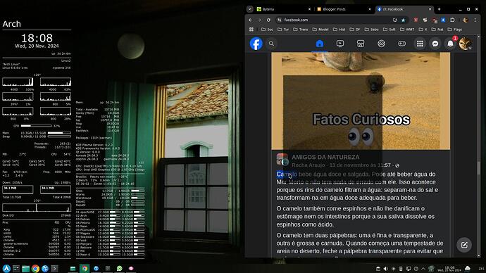 2024-11-20_18-08-50_A-Chrome-Render-Layer-issue_XXX