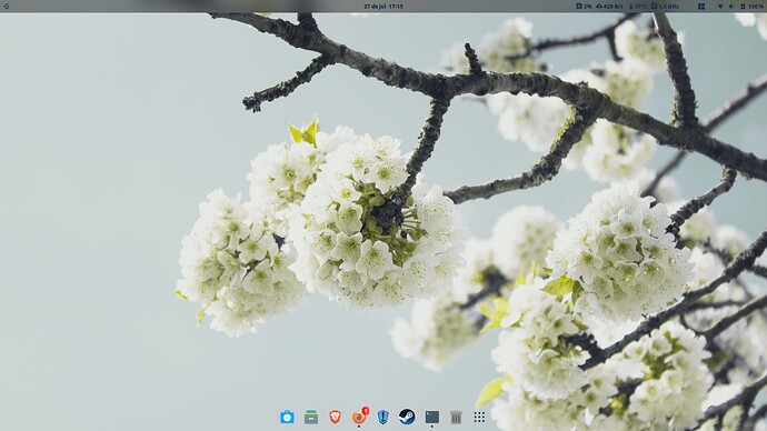 Screenshot from 2025-07-27 17-15-27