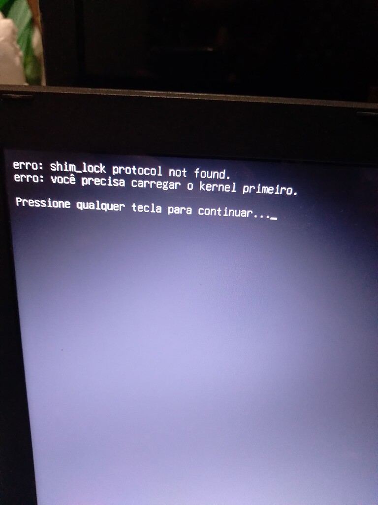 Erro no Grub - Instalação do Linux Mint 22.1. Como revolver