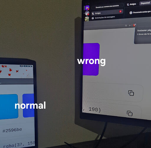 1000260056