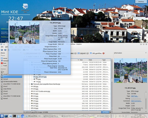 snapshot_184-Dolphin-Mint-KDE-preview-fotos-Exif