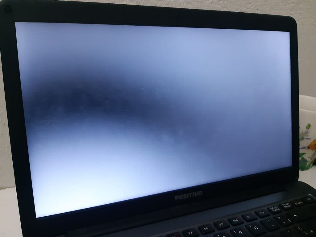 zorin os torrent