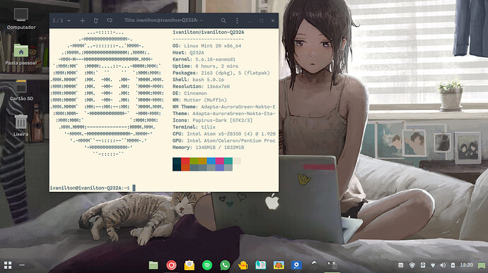 Captura de tela de 2020-06-14 18-20-02
