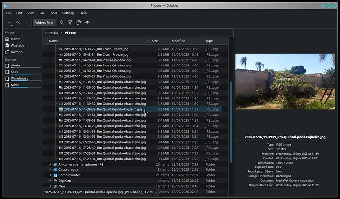 2025-07-21_20-56-18_F-Dolphin-Previews