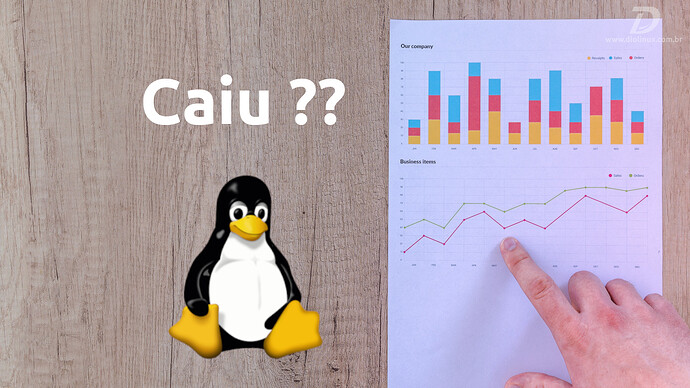 MarketShareDoLinuxCaiu