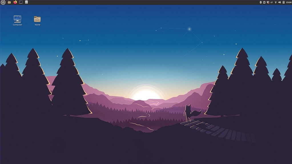 Não consigo aumentar o zoom no Linux Mint - Iniciantes - Diolinux Plus