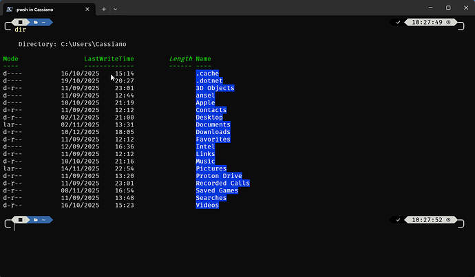 WindowsTerminal_3bwE6sOI7t