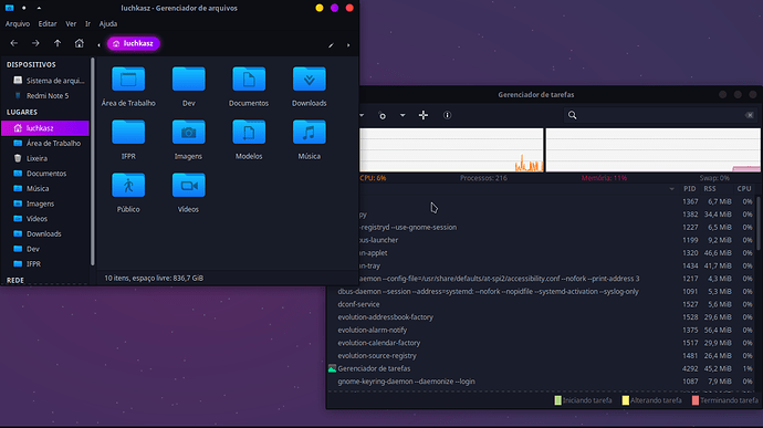 Xubuntu Arquivos e Monitor de Recursos