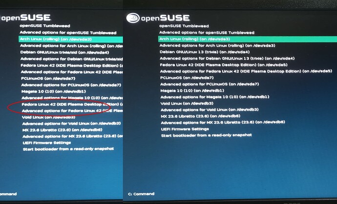 2025-05-10_01-28-26_Rm-Grub-remove-2nd-Fedora-installation