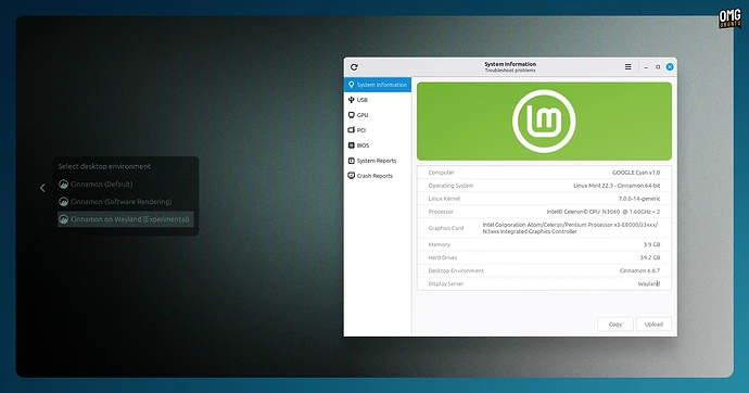 linux-mint-cinnamon-wayland-session-1
