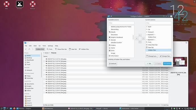 2020-07-22_13-42-05_Mx-Dolphin-Toolbar