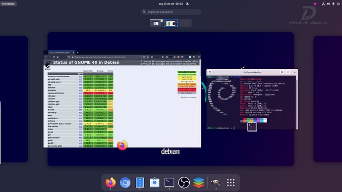0091 - gnome 40 debian sid