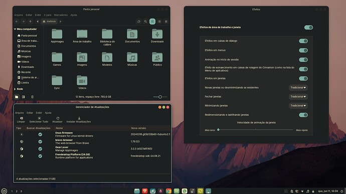 Captura de tela de 2025-06-11 18-09-17