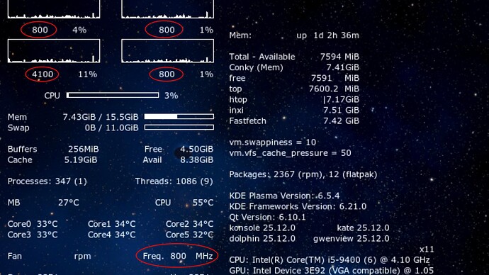 2025-12-24_10-57-06_p6