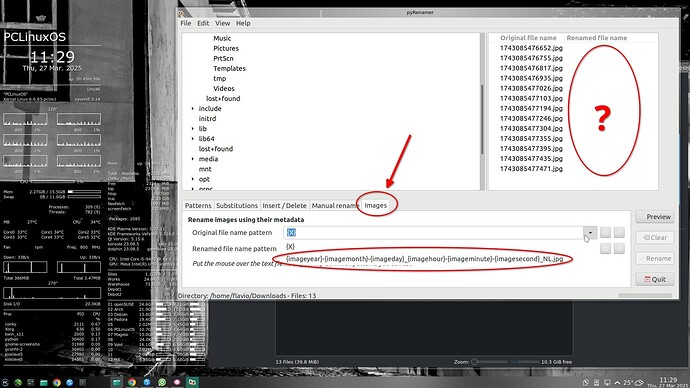 2025-03-27_11-29-18_Pc-pyRenamer-PIFFFFF_X