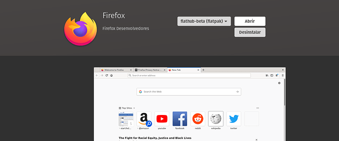 flathub beta