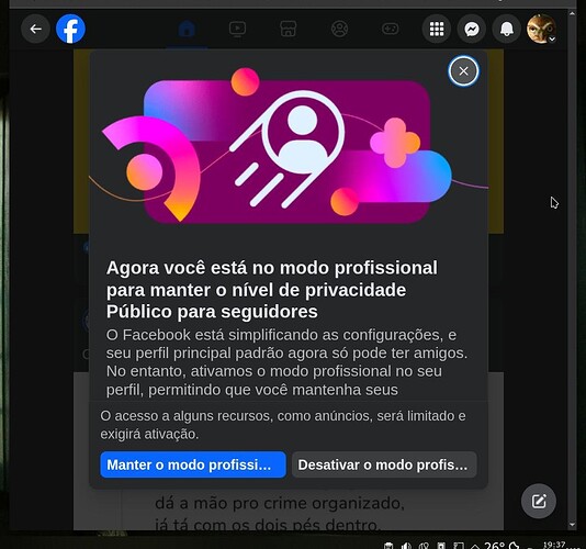2025-08-28_19-37-41_A-Facebook-professional-mode-WTF_CROP