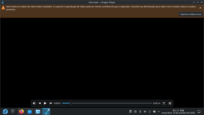 Captura de imagem_20251014_131128