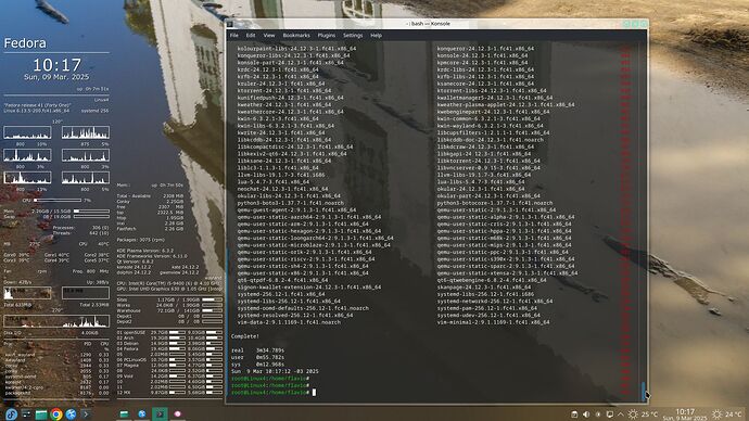 2025-03-09_10-17-22_F-dnf4-upgrade