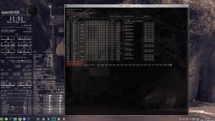 2023-09-17_11-51-23_oSU-snapper-ls-delete-sync