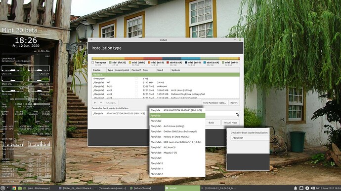 010-Live-Mint-20beta-Ulyana-Installer-Partitioning-EFI-boot-device