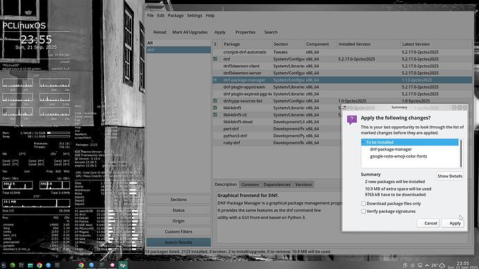 2025-09-21_23-55-30_Pc-DNF-Package-Manager