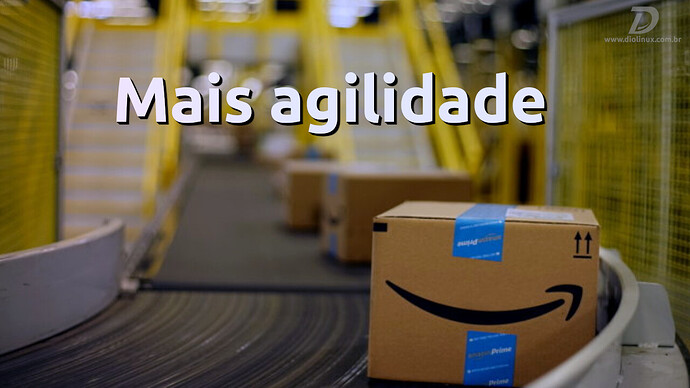 AmazonFBAFulfilmentByAmazonLogisticaDaAmazon