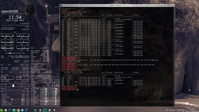 2023-09-17_11-54-37_oSU-snapper-ls-delete-sync