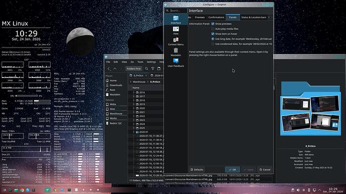 2026-01-24_10-29-23_Mx-Dolphin-config-Panels