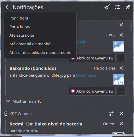 Captura de imagem_20251214_185135