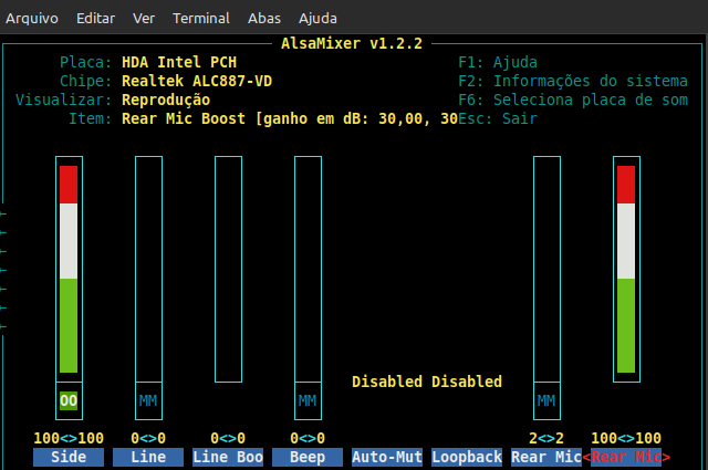 print alsamixer2