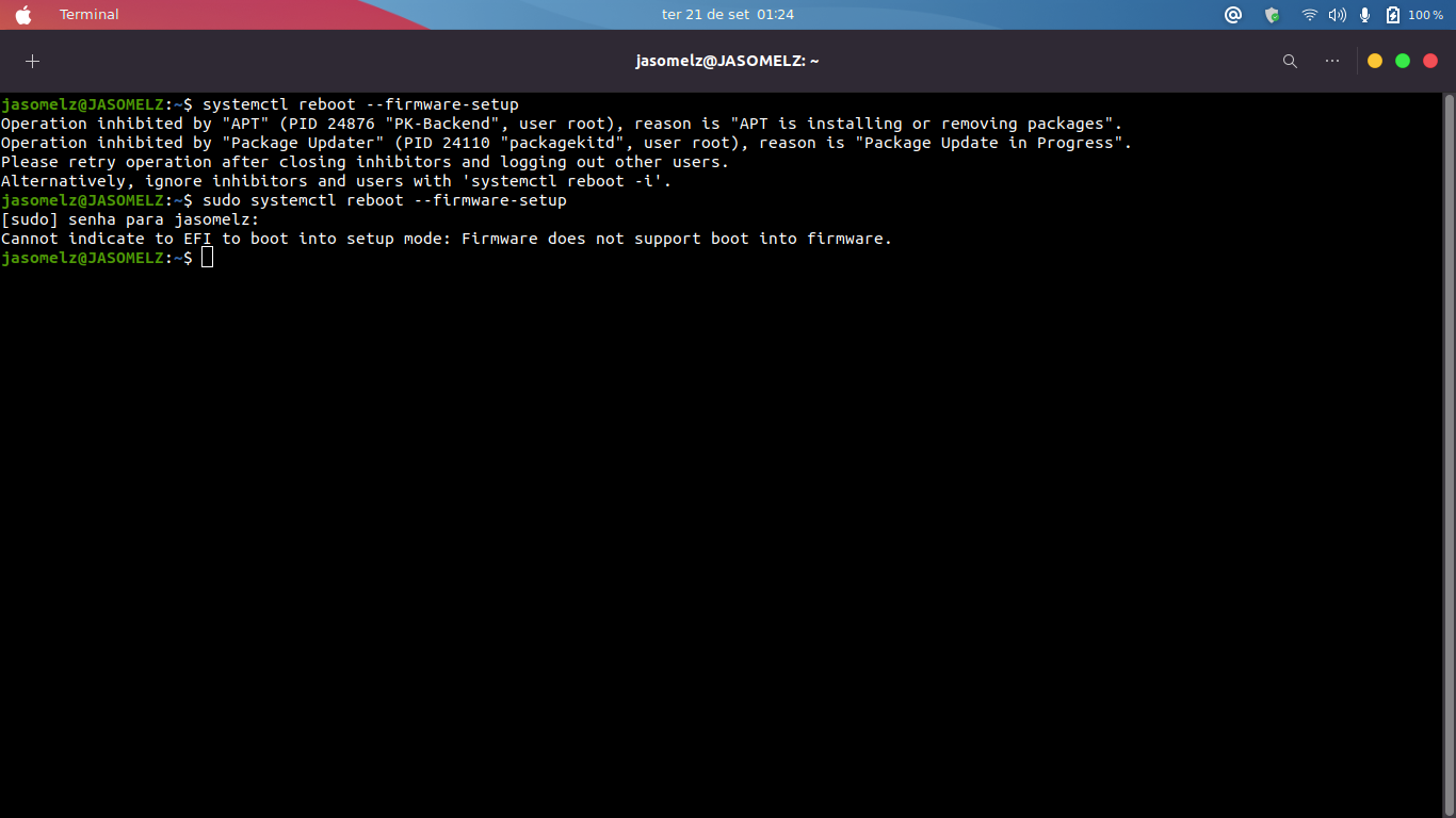 Fortnite abre mas da erro, no POP os 20.10 - Linux - Diolinux Plus