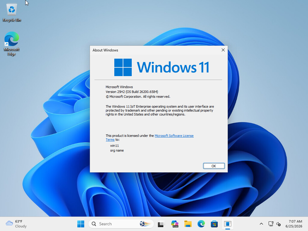 Windows 11 IOT, problema com memoria - Windows - Diolinux Plus