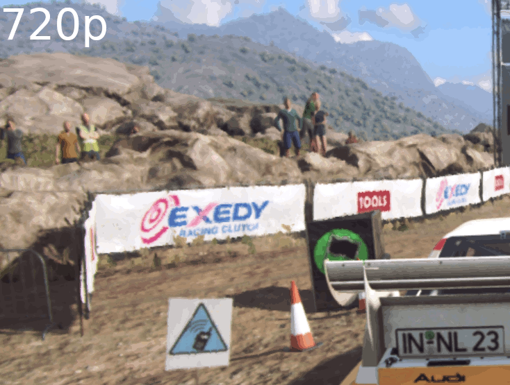 Dirt Rally 2.0 Linux Proton AMD FSR